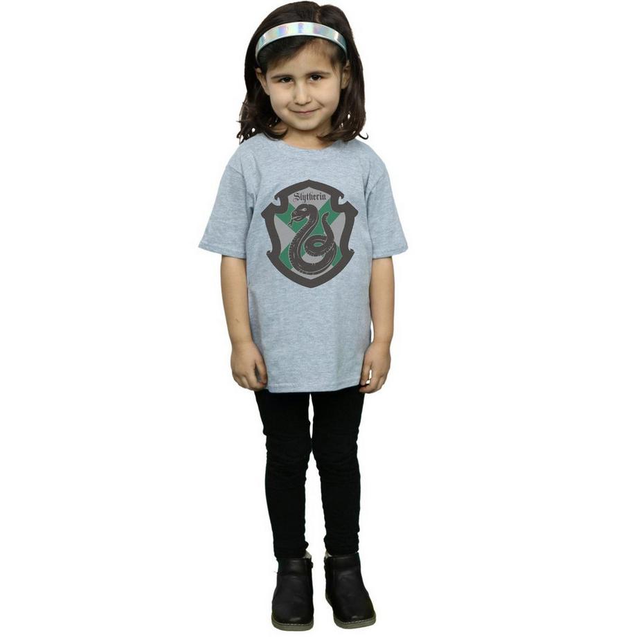 Harry Potter  Slytherin TShirt 