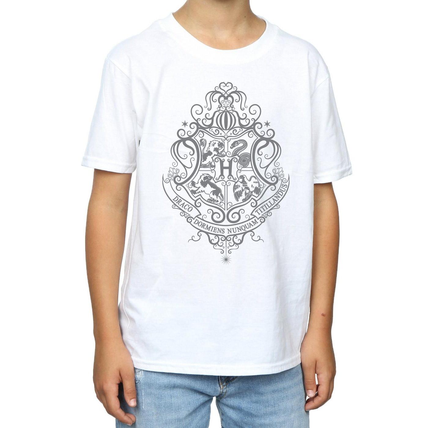 Harry Potter  Hogwarts Draco Dormiens TShirt 