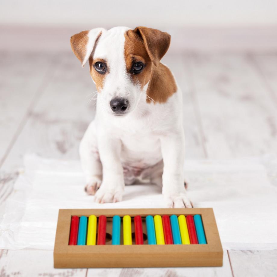 B2X  Intelligentes Spielzeug für Hunde 