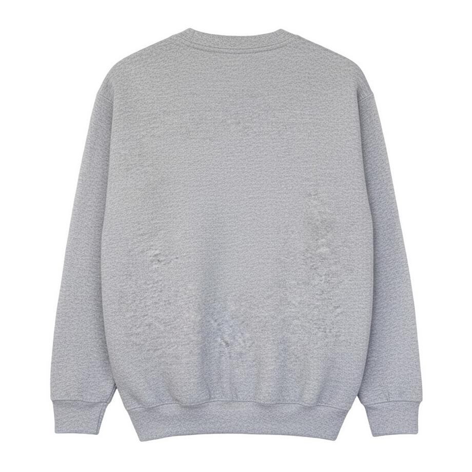 Disney  Sweat MERRY CHRISTMAS 