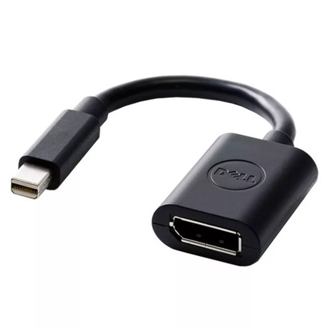 DELL 470-13627 video cable adapter 0.203 m 20-pin DisplayPort FM Apple