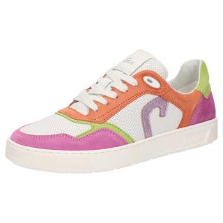 Sioux  Sneaker Tedroso-DA-702 