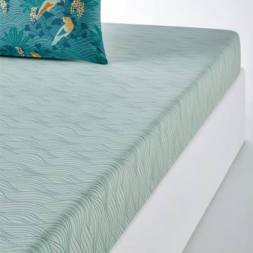 Drap housse percale coton