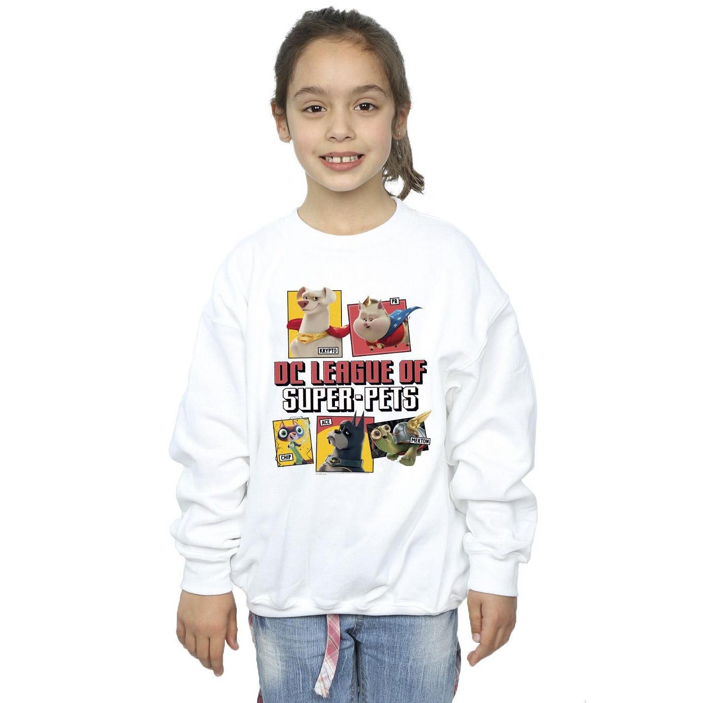 DC COMICS  DC League Of SuperPets Sweatshirt 