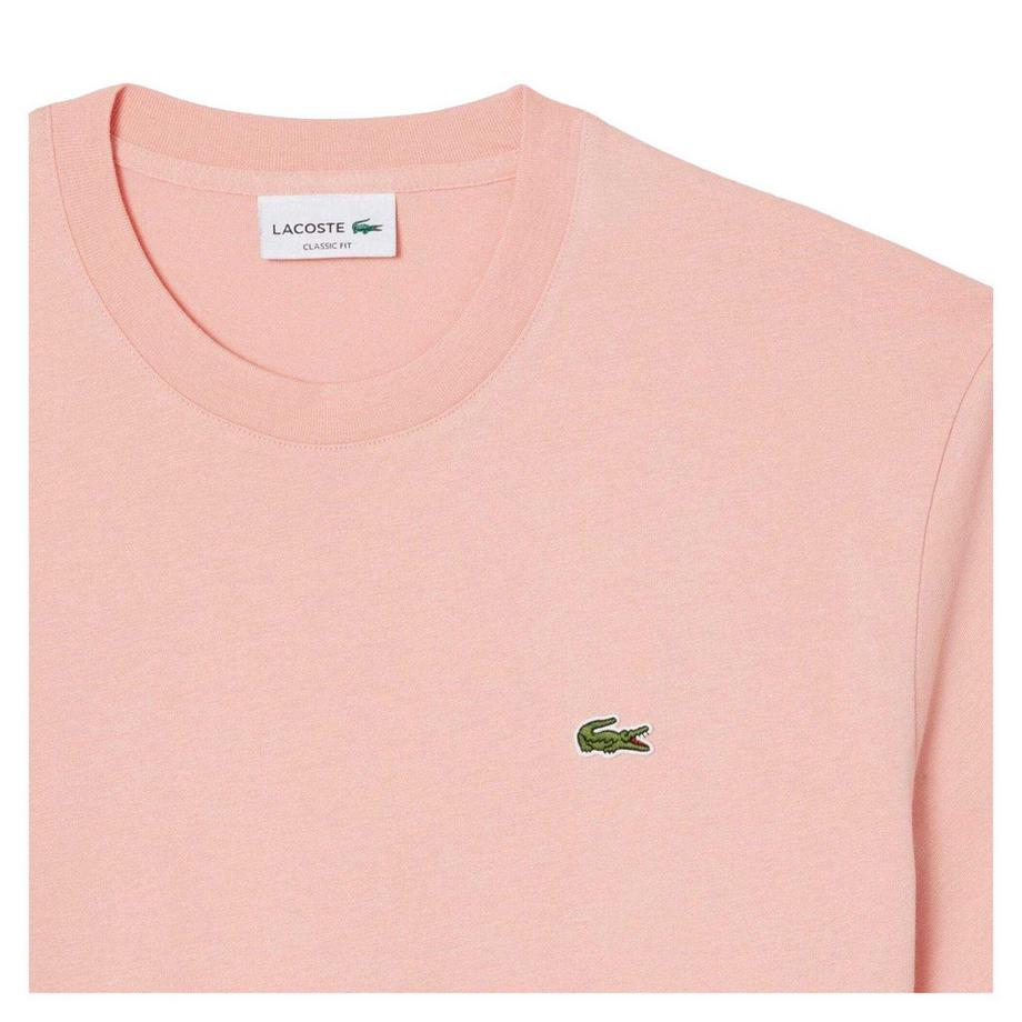 LACOSTE  Maglietta Logo Ricamato 