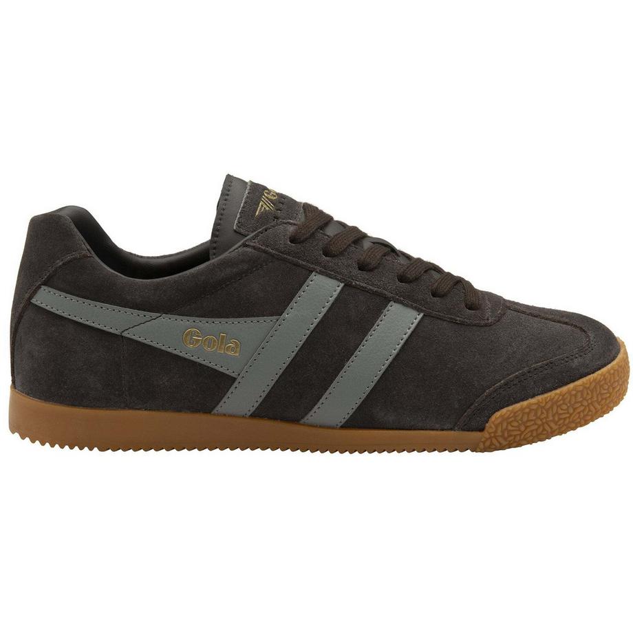 Baskets harrier