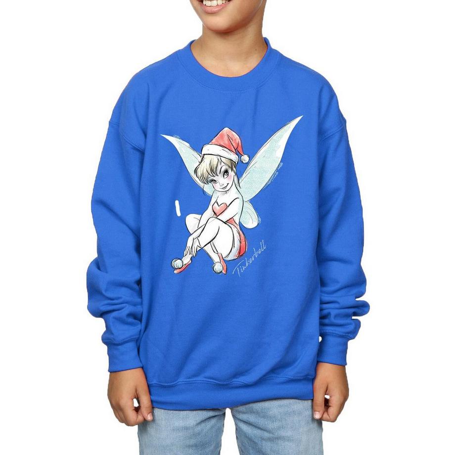 Disney  Fairy Sweatshirt 