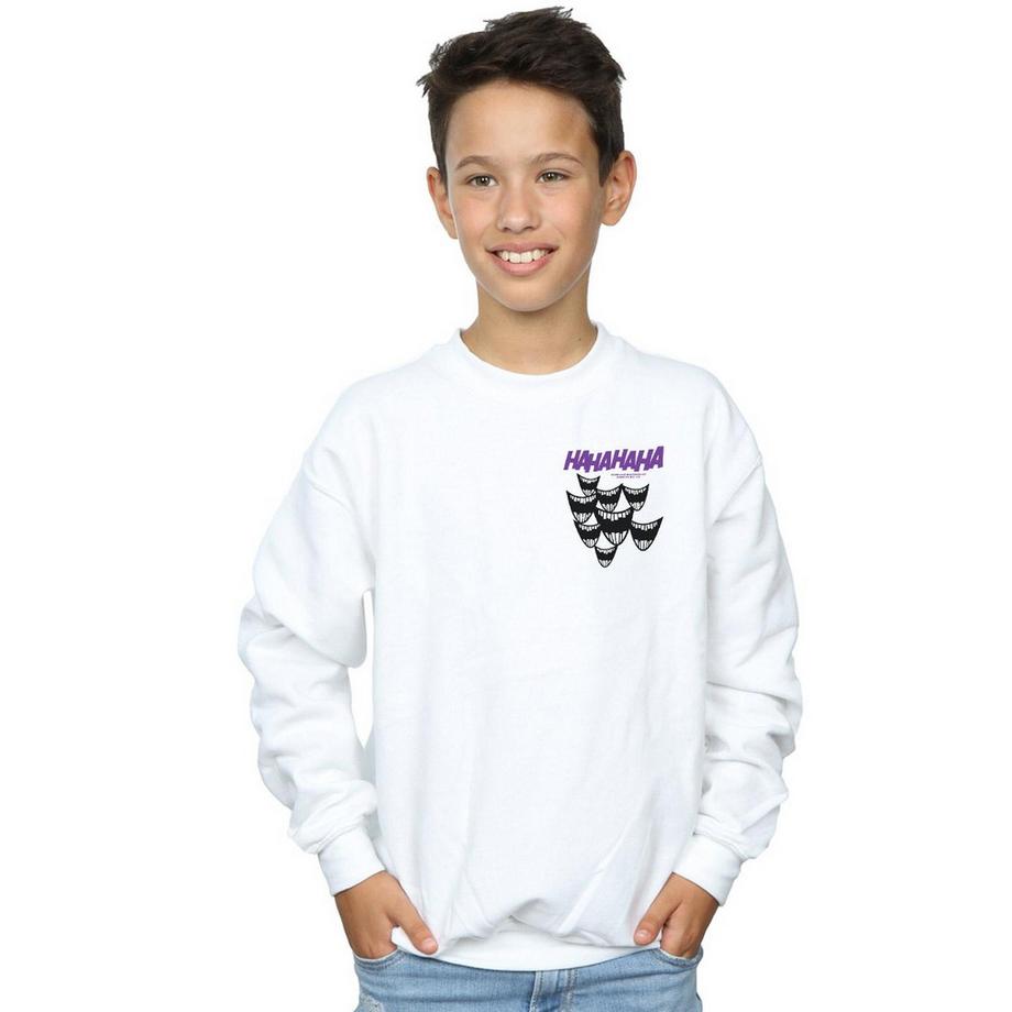DC COMICS  Sweatshirt 