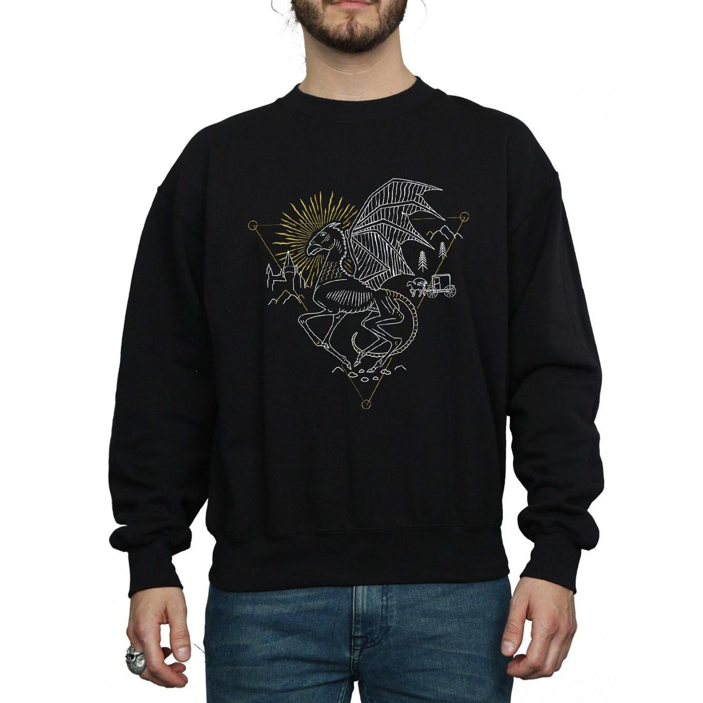 Harry Potter Thestral Regular Fit Sweatshirt  