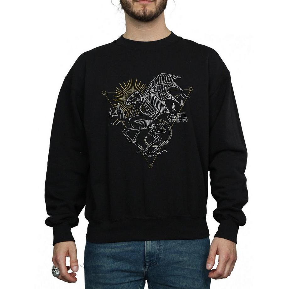 Harry Potter Thestral Sweatshirt  