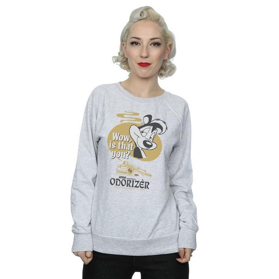 LOONEY TUNES Sweat Odorizer Pepe Le Pew  
