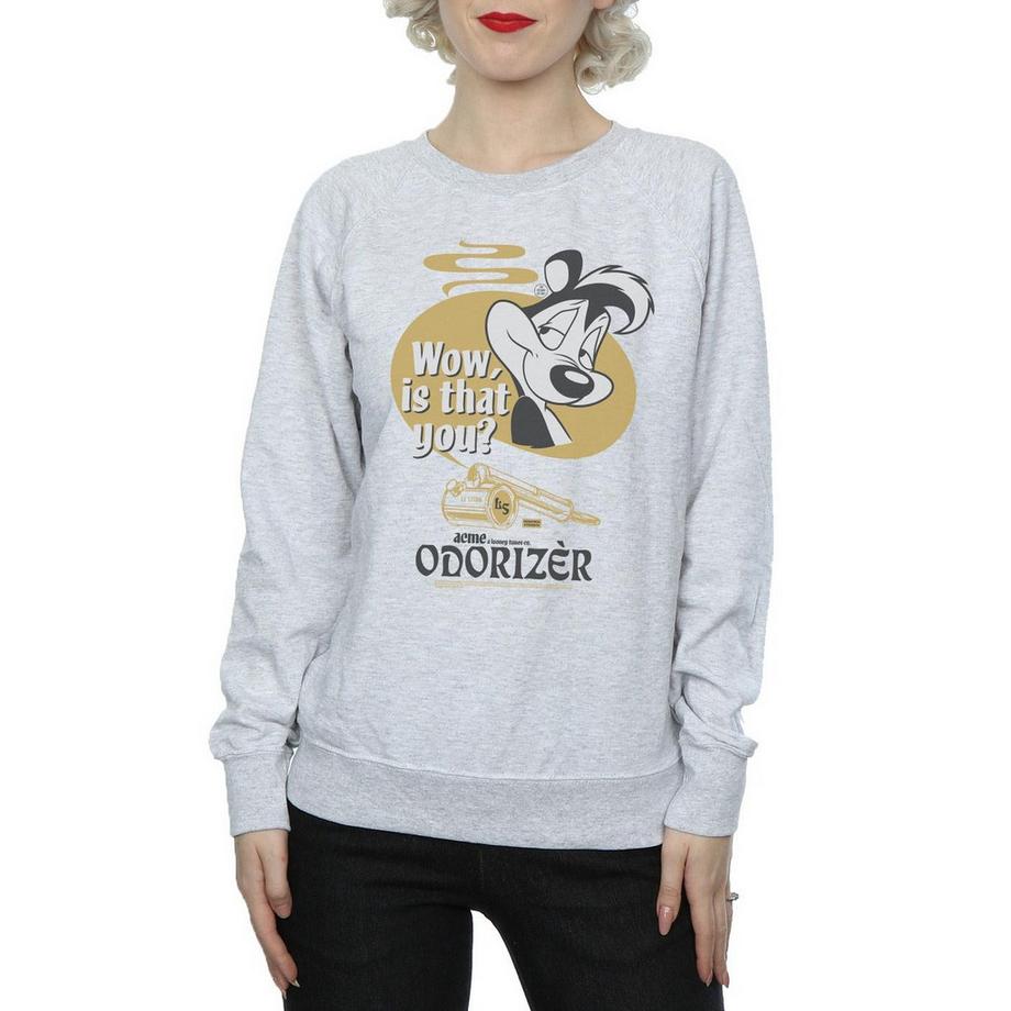 LOONEY TUNES Sweat Odorizer Pepe Le Pew  