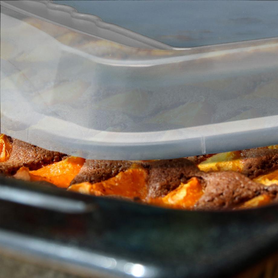 B2X Backblech mit Deckel  