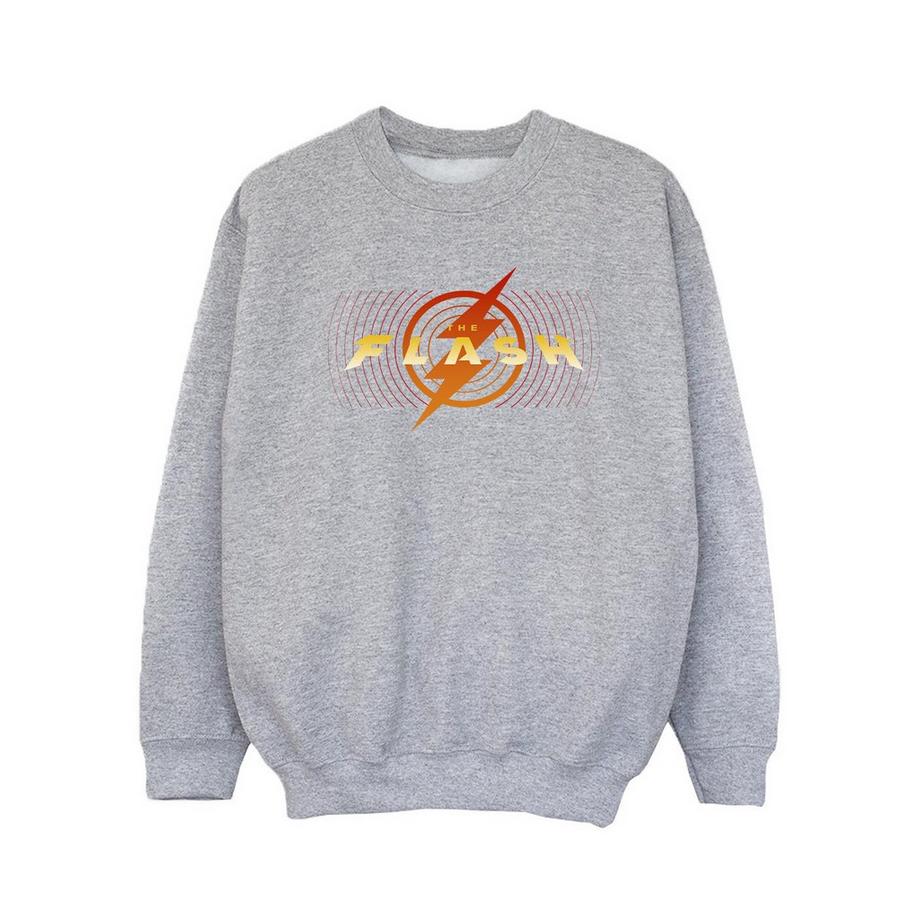 DC COMICS  Sweatshirt 