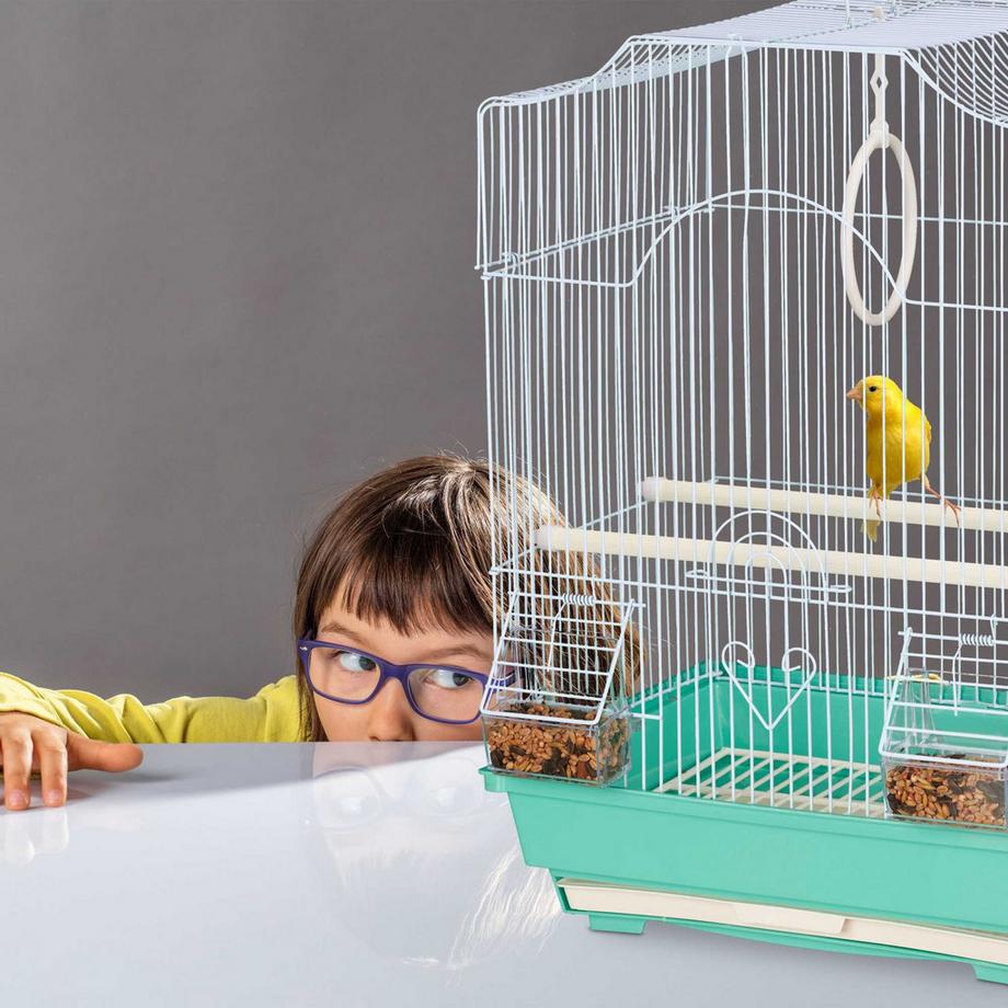 Northix  Cage à oiseaux avec perchoirs 