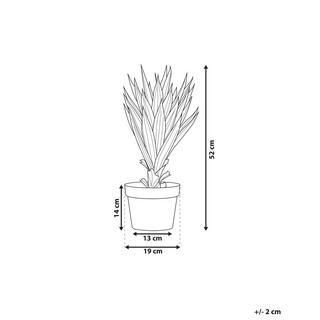 Beliani Pianta artificiale en Materiale sintetico YUCCA  