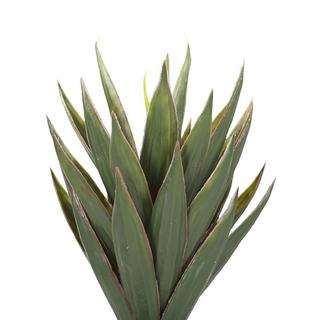 Beliani Pianta artificiale en Materiale sintetico YUCCA  