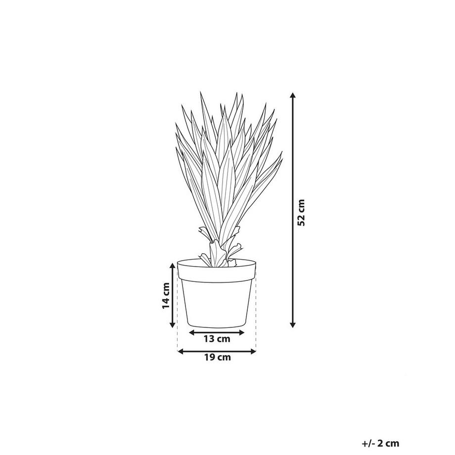 Beliani Pianta artificiale en Materiale sintetico YUCCA  