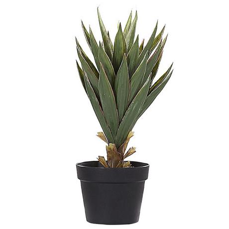 Beliani Plante artificielle en Matière synthétique Moderne YUCCA  