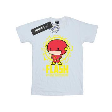 Flash My Hero Since Forever TShirt