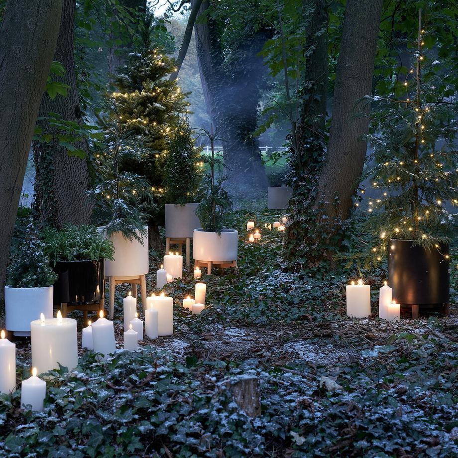 AM.PM Cache-pot sur pied en hévéa H45cm  