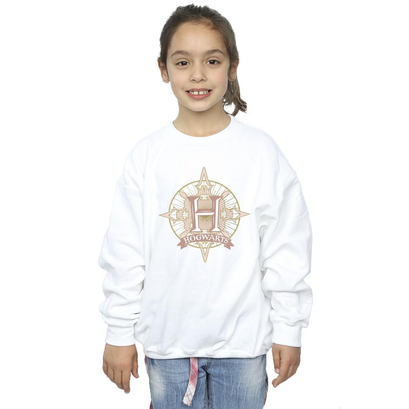 Harry Potter  Hogwarts Sweatshirt 