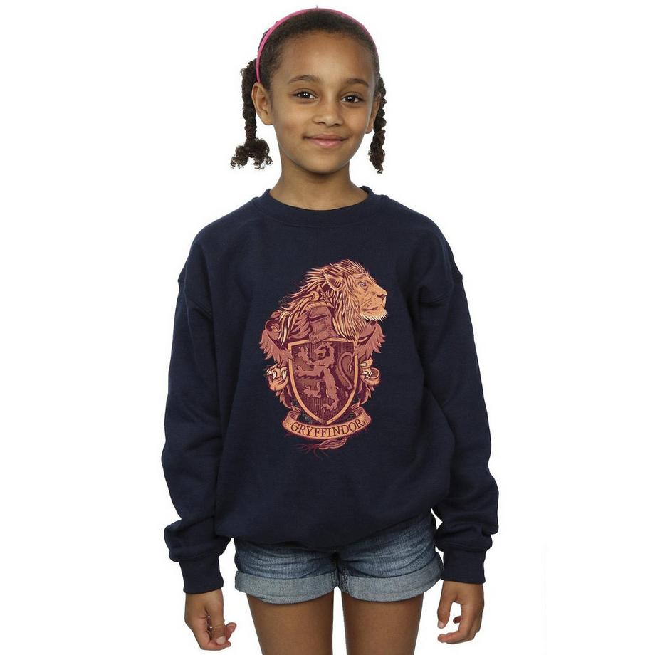 Harry Potter  Sweat GRYFFINDOR 