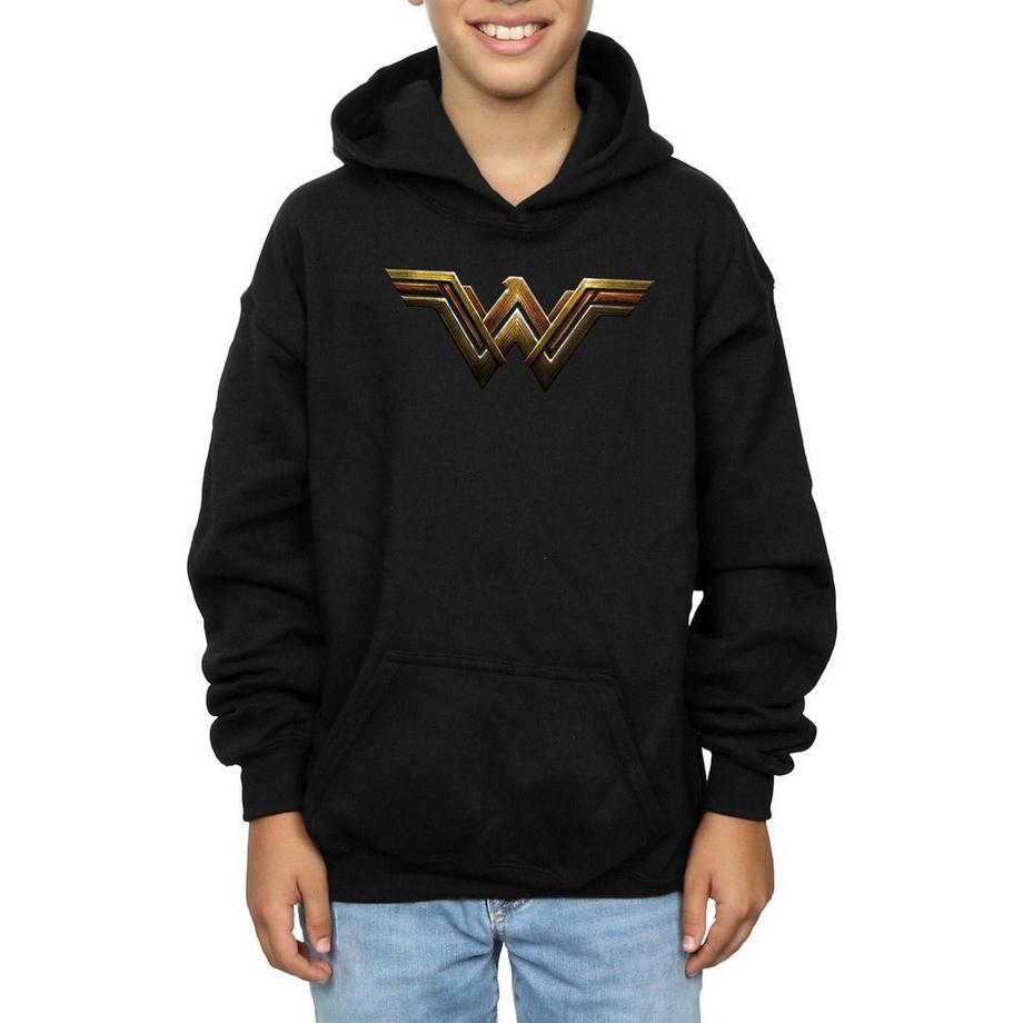 DC COMICS  Sweat à capuche JUSTICE LEAGUE 