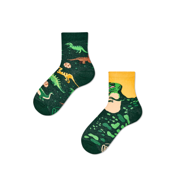 The Dinosaurus Kids Chaussettes - Many Mornings