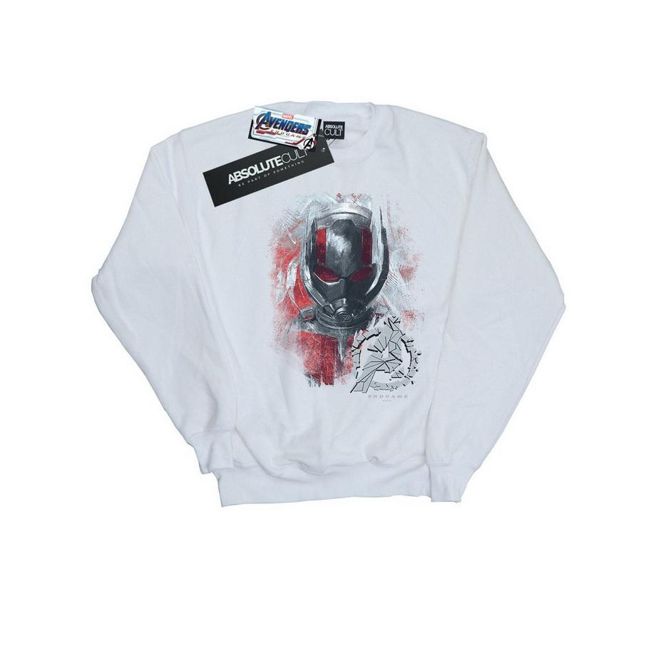 Sweat AVENGERS ENDGAME