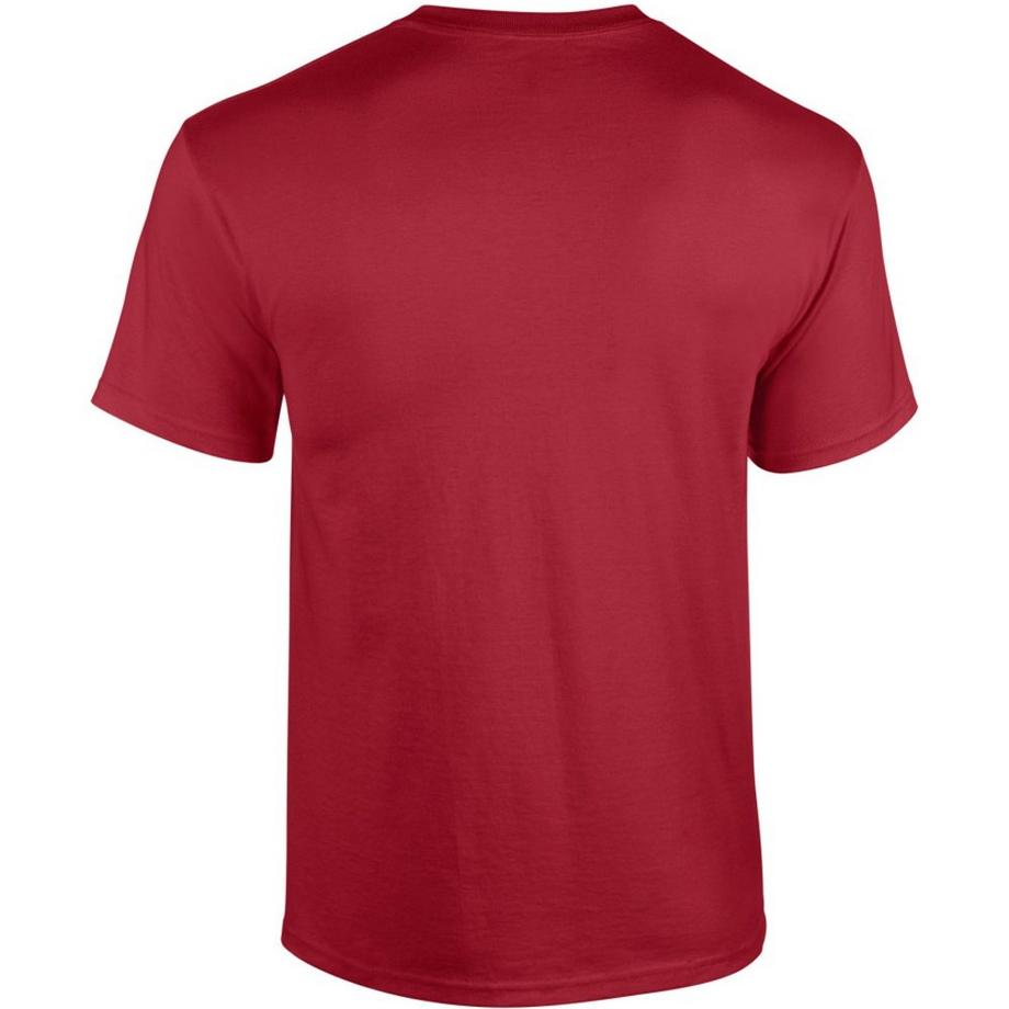 Gildan TShirt  