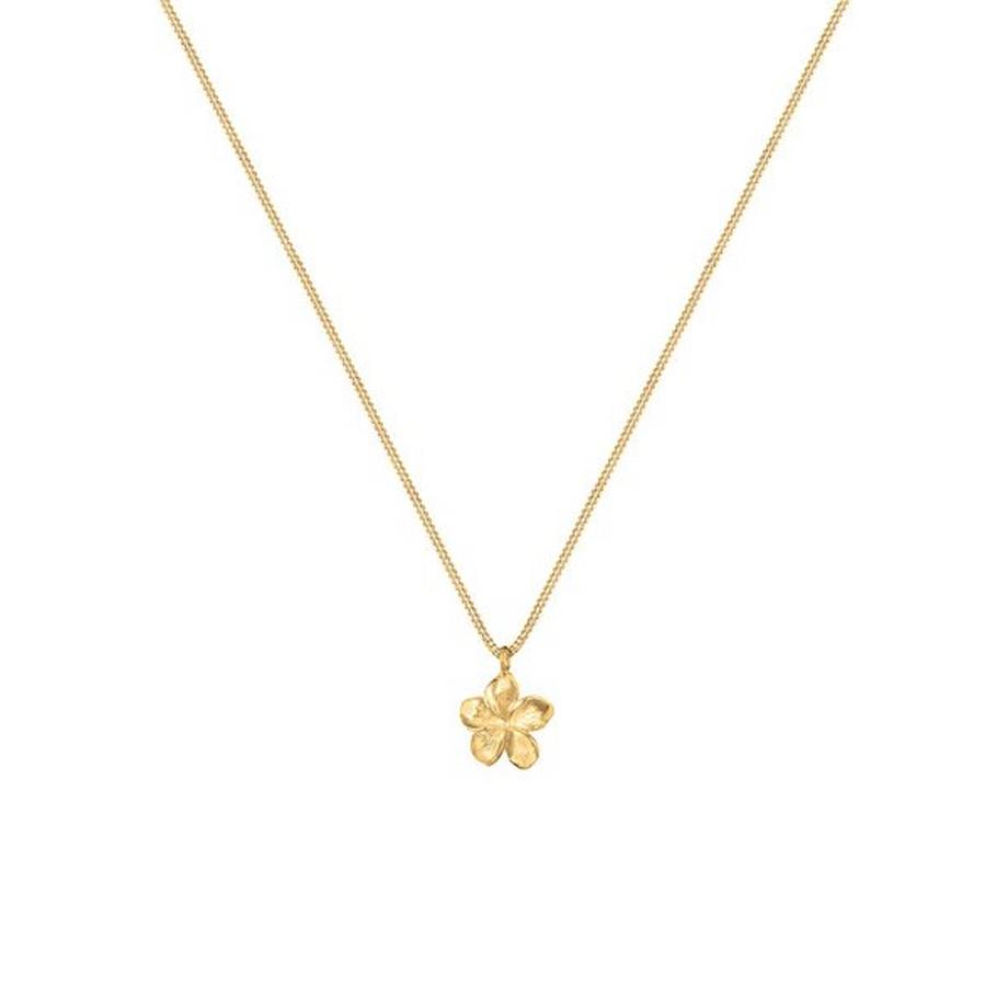 Elli  Halskette Anhänger Frangipani Blüte 