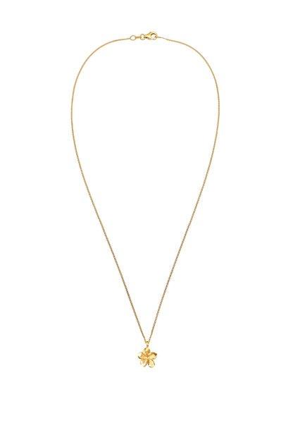 Elli  Halskette Anhänger Frangipani Blüte 