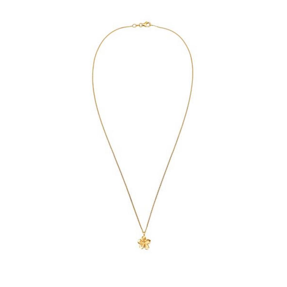 Elli  Halskette Anhänger Frangipani Blüte 