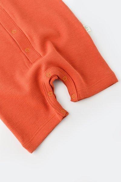 BabyCosy Organic  Strampler kurze, kurzarm 