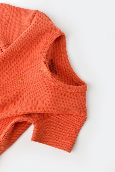 BabyCosy Organic  Strampler kurze, kurzarm 