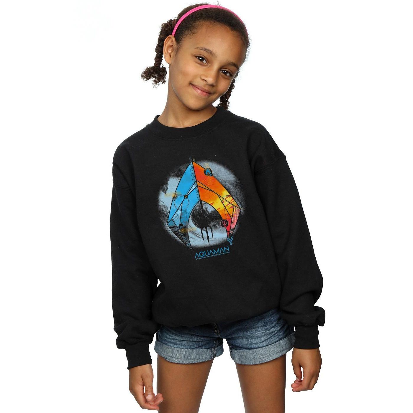 DC COMICS  Sweatshirt 