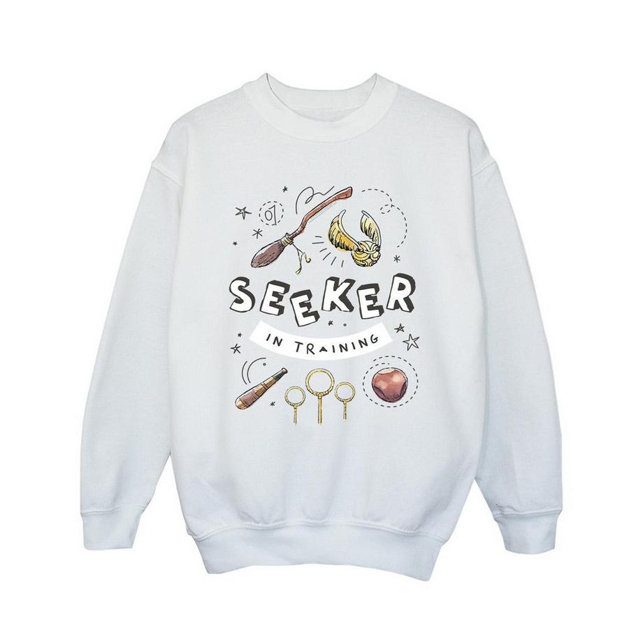 Harry Potter  Seeker In Training Sweatshirt 