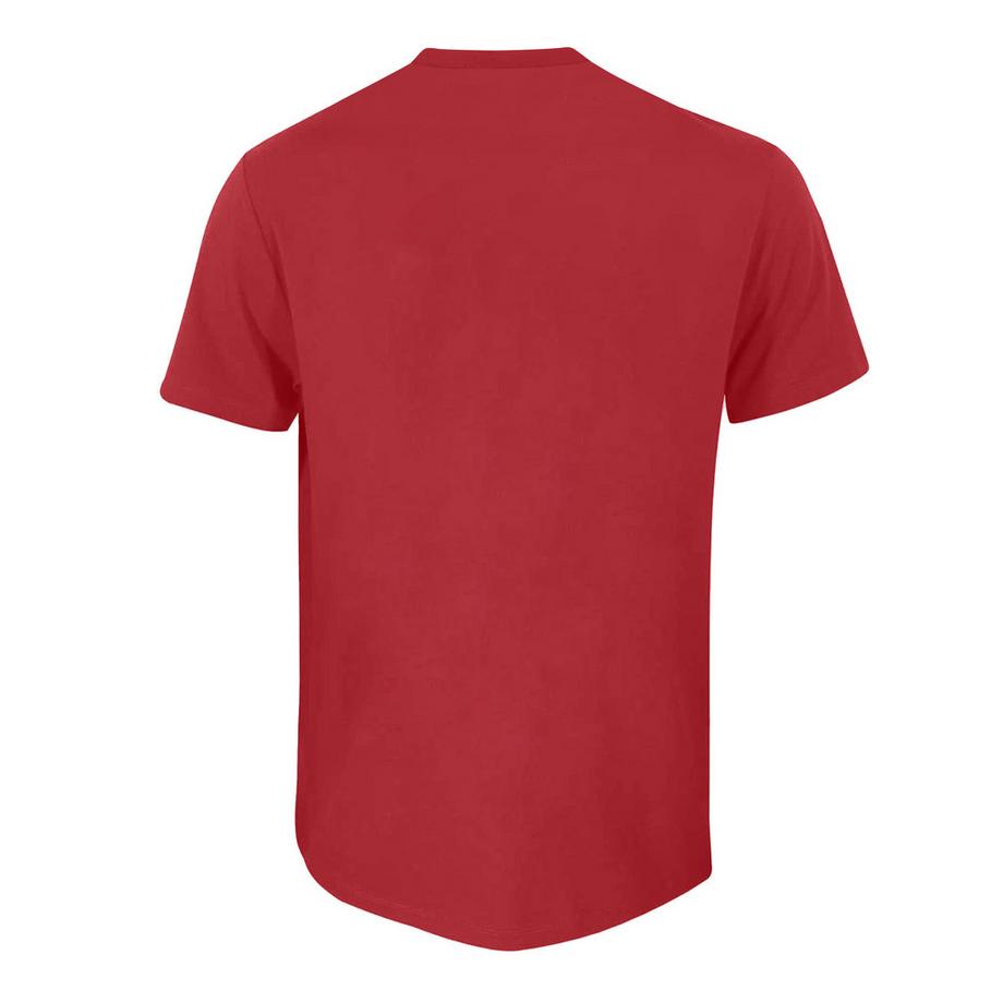 Harry Potter T-Shirt Gryffindor Team Quidditch  