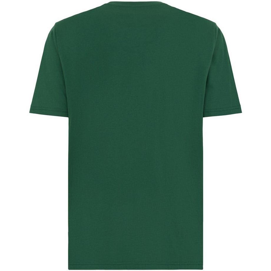Dickies T-Shirt Mapleton Regular Fit  