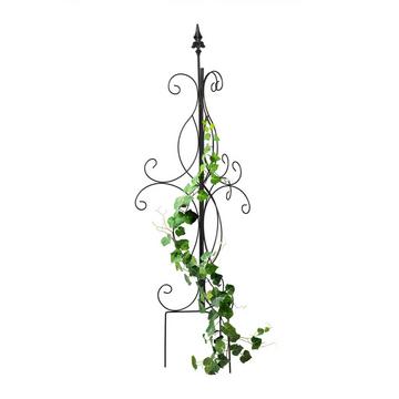 Dreibeiniges Pflanzenspalier