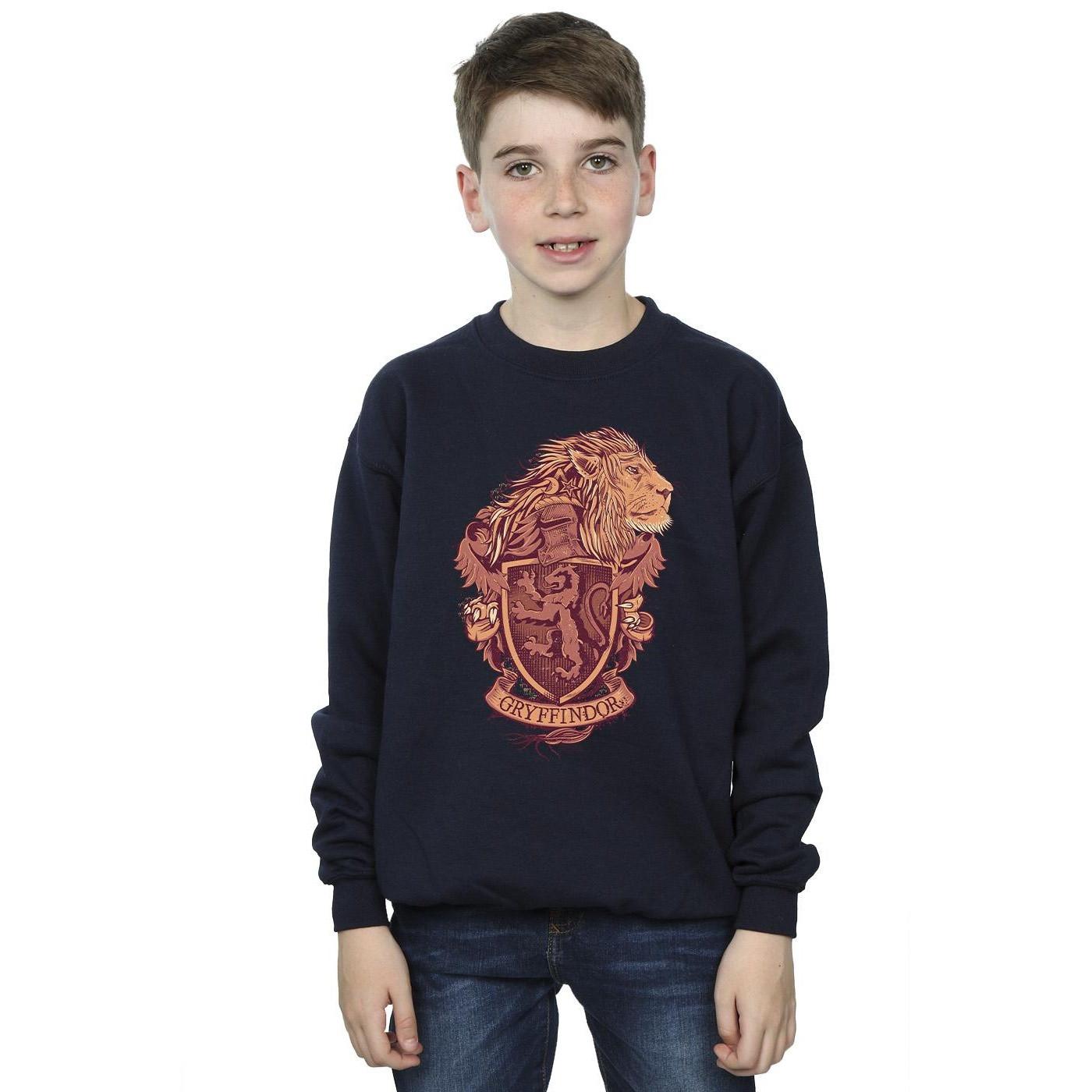 Harry Potter  Gryffindor Sweatshirt 