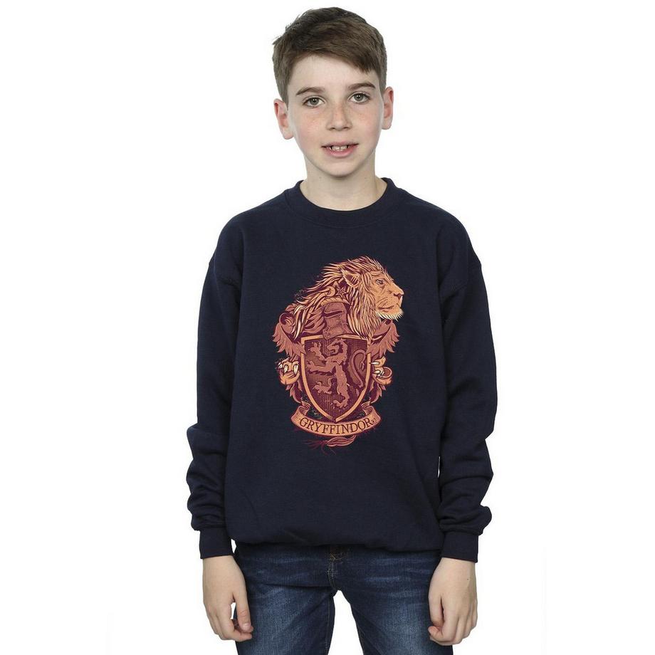 HARRY-POTTER  Gryffindor Sweatshirt 