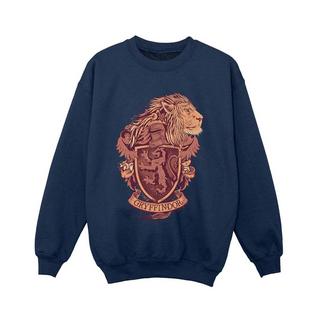 Harry Potter  Gryffindor Sweatshirt 