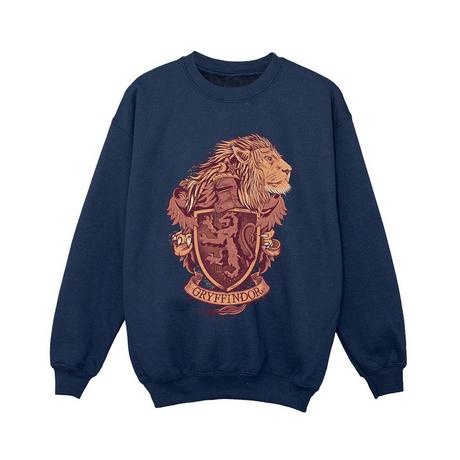 Harry Potter  Gryffindor Sweatshirt 