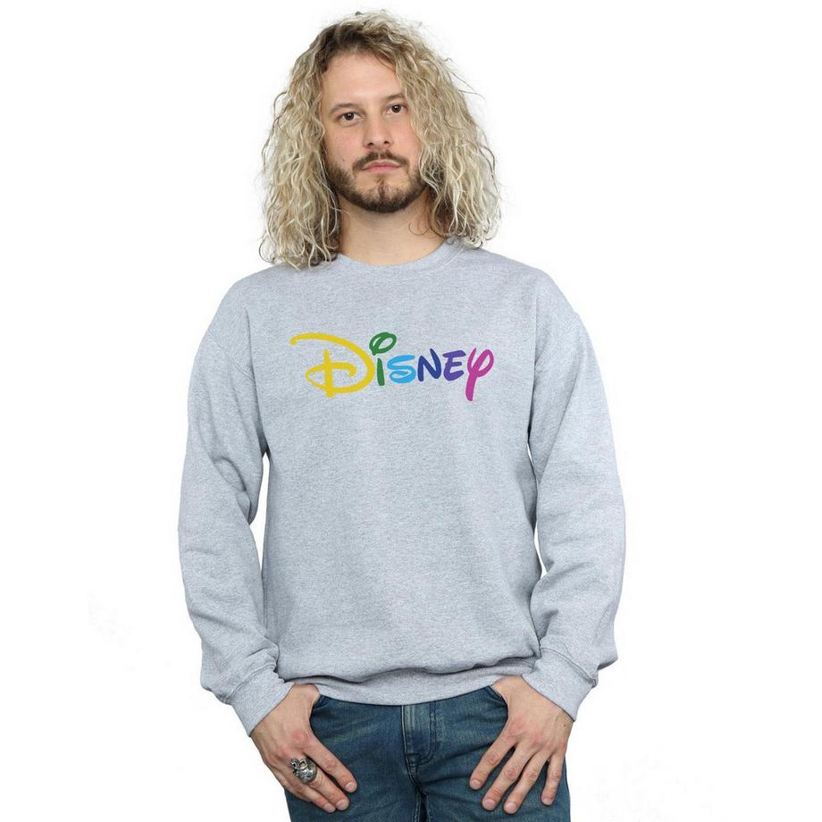 Disney Rainbow Logo Sweatshirt  