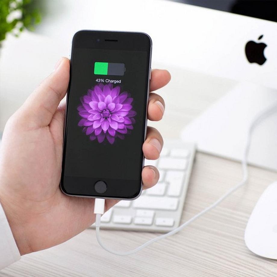 Avizar  Apple Lightning USB-Ladekabel – Weiß 