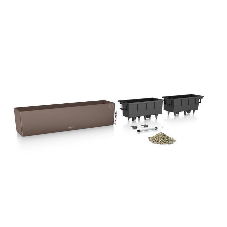 Lechuza BALCONERA Color  