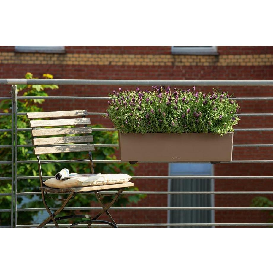 Lechuza BALCONERA Color  