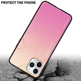 Cadorabo  Housse compatible avec Apple iPhone 11 PRO - Coque de protection bicolore en silicone TPU et dos en verre trempé 